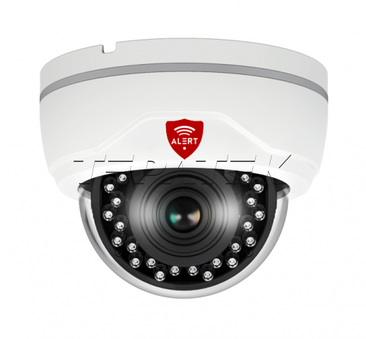Ремонт камер видеонаблюдения Alert